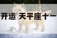 天平座11月开运 天平座十一月份运势2021