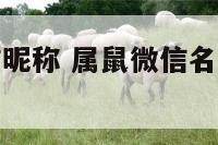 属鼠女性微信昵称 属鼠微信名字大全属鼠的女人微信名字