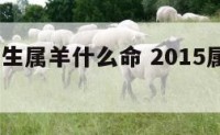 2015出生属羊什么命 2015属羊是什么命人