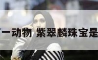 紫翠打一动物 紫翠麟珠宝是真的吗