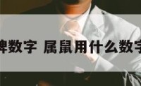 属鼠上牌数字 属鼠用什么数字算车牌