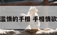 滥情的手相 手相情欲