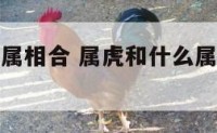 属虎跟什么属相合 属虎和什么属相在一起是最好的