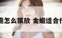 属鼠金蟾怎么摆放 金蟾适合什么属相