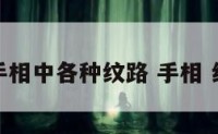 手相中各种纹路 手相 纹