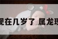 属龙的现在几岁了 属龙现在多大