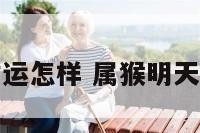 属猴的明天财运怎样 属猴明天的财运和运势