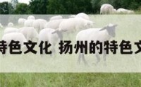 扬州的特色文化 扬州的特色文化遗产