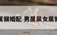 男属鼠女属猴婚配 男属鼠女属猴婚配如何