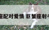 巨蟹座射座配对爱情 巨蟹座射手座相配吗