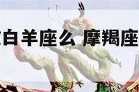 摩羯座会喜欢白羊座么 摩羯座会喜欢白羊座么女生