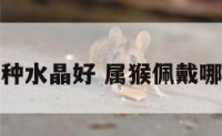 属猴佩戴哪种水晶好 属猴佩戴哪种水晶好呢