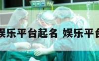 在线娱乐平台起名 娱乐平台名字