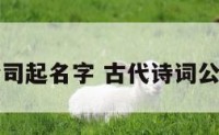 诗词公司起名字 古代诗词公司名字