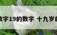 年龄数字19的数字 十九岁的年龄