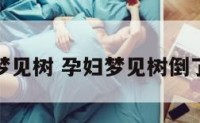 解梦孕妇梦见树 孕妇梦见树倒了是咋回事