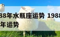 属龙1988年水瓶座运势 1988年水瓶座2021年运势