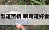 眼型短面相 眼睛短好看吗