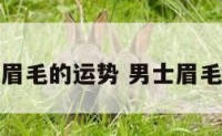 男士眉毛的运势 男士眉毛相法