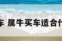 属牛买车 属牛买车适合什么颜色