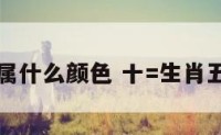 十属五行属什么颜色 十=生肖五行属什么