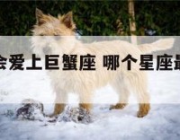 那个星座会爱上巨蟹座 哪个星座最容易爱上巨蟹女