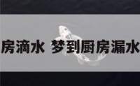梦到厨房厨房滴水 梦到厨房漏水是什么预兆