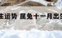 属兔11月生运势 属兔十一月出生财运怎么样