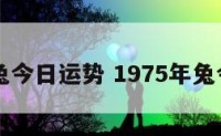 75生肖兔今日运势 1975年兔今日运程
