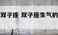发脾气吓到双子座 双子座生气的时候会干什么