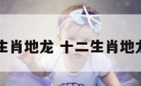 十二生肖地龙 十二生肖地龙图片