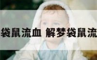 解梦袋鼠流血 解梦袋鼠流血了