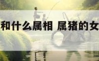 属猪的女性和什么属相 属猪的女性和属什么的最合适