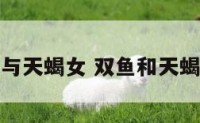 双鱼座与天蝎女 双鱼和天蝎女配吗
