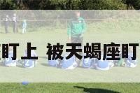 被天蝎座盯上 被天蝎座盯上的女生