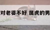 属虎的男人对老婆不好 属虎的男人对老婆不好怎么办
