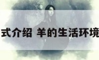羊的生活方式介绍 羊的生活环境是什么样的