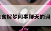 包含解梦同事聊天的词条