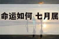 七月属龙的人命运如何 七月属龙的运势和财运