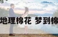 梦见地理棉花 梦到棉花地