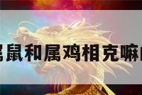 包含属鼠和属鸡相克嘛的词条