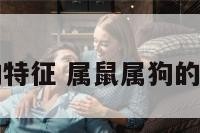 鼠属狗的特征 属鼠属狗的人相配吗