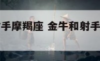 金牛三和射手摩羯座 金牛和射手工作上合拍吗
