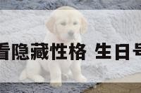 生日数字看隐藏性格 生日号数看性格