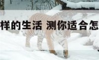 测你适合怎样的生活 测你适合怎样的生活环境