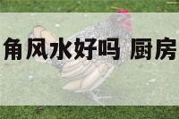 厨房应在东北角风水好吗 厨房设在东北角好不好