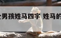 起名字大全男孩姓马四字 姓马的男孩名字2021四个字