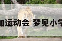 梦到学生参加运动会 梦见小学生开运动会