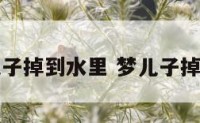 解梦儿子掉到水里 梦儿子掉进水里