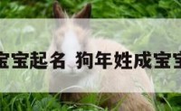 狗年姓成宝宝起名 狗年姓成宝宝起名大全
